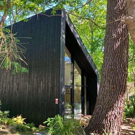 Nouveau - Ecolodge 'Calme Et Nature' - Avec Piscine Au Golf-Lac De Biscarrosse - Couchage 2 Personnes Extérieur photo