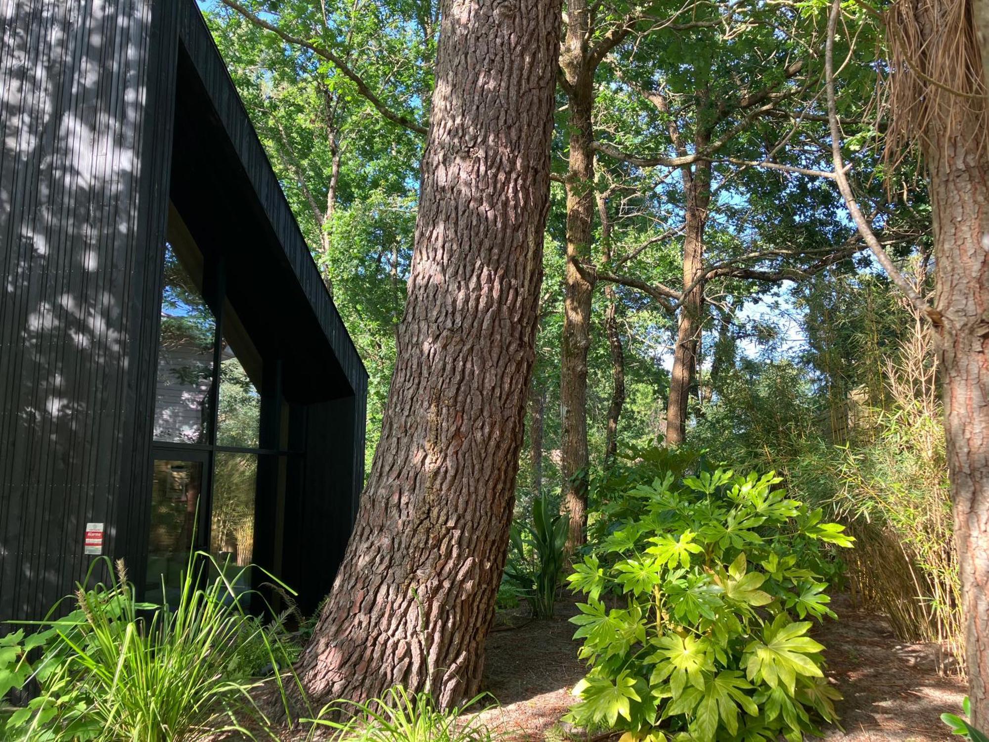 Nouveau - Ecolodge 'Calme Et Nature' - Avec Piscine Au Golf-Lac De Biscarrosse - Couchage 2 Personnes Extérieur photo