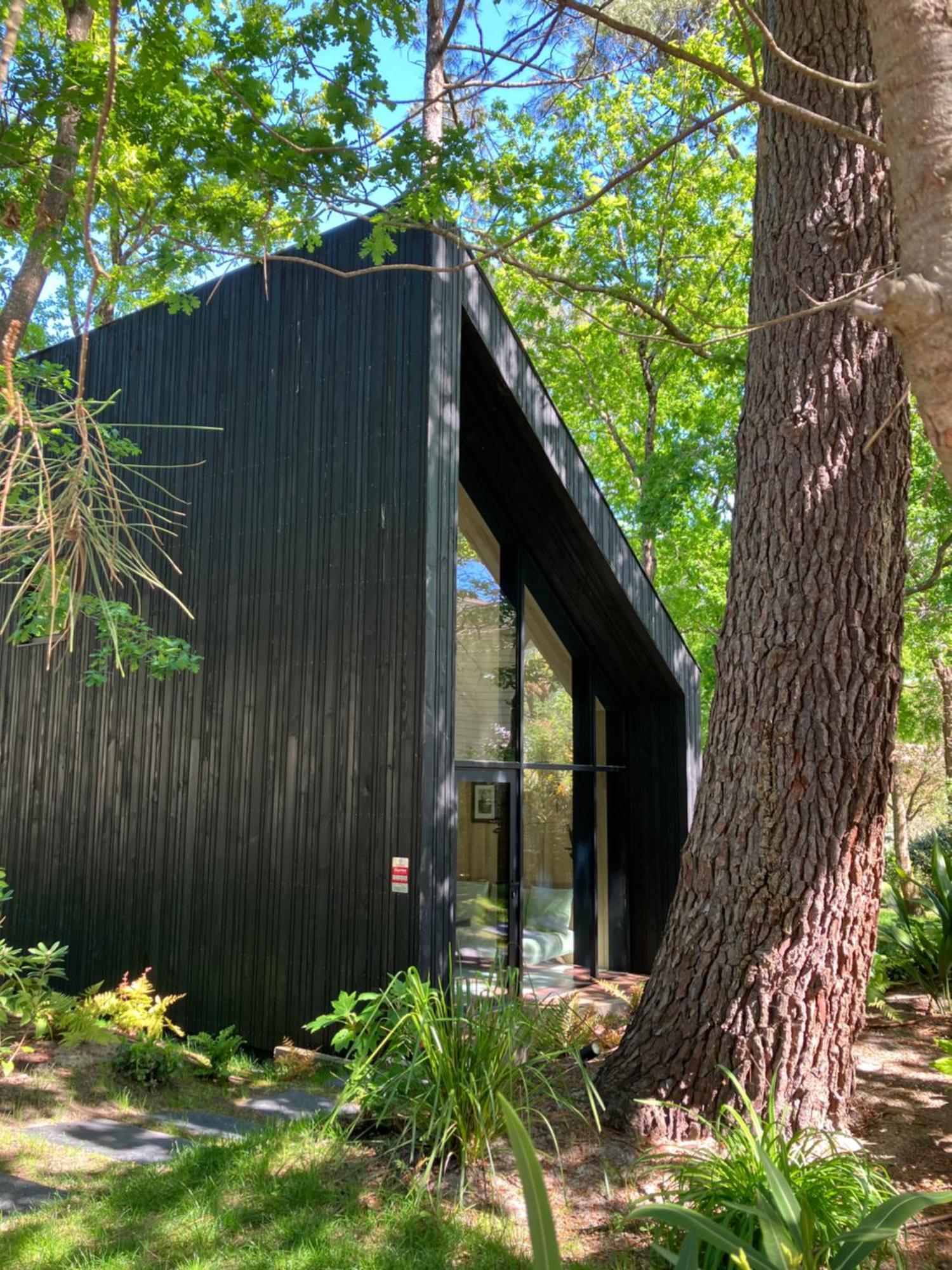Nouveau - Ecolodge 'Calme Et Nature' - Avec Piscine Au Golf-Lac De Biscarrosse - Couchage 2 Personnes Extérieur photo